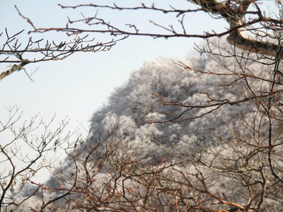 IMG_4931.jpg (458.92 KiB) 閲覧された回数 8386 回 この尾根かな?