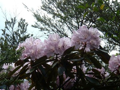 5月4日、奥伊勢の山にて。