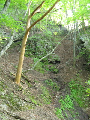 4年前。この時はここを下りてきました。