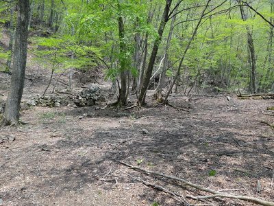 DSC00388.jpg (196.87 KiB) 閲覧された回数 13276 回 オフ会場風景2