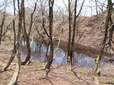 P5050050.JPG (63.37 KiB) 閲覧された回数 9125 回 セキオノコバ