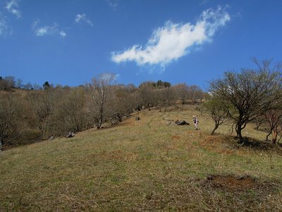 東千石山への斜面を登る。