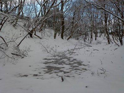 長池は雪に埋まっていました