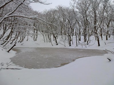 セキオノコバの池も氷結しています