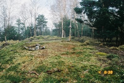 2012027 (21).jpg (272.16 KiB) 閲覧された回数 7816 回 シャウヅ山