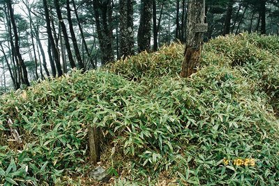 2012027 (34).jpg (279.31 KiB) 閲覧された回数 7811 回 黒沢山 山頂