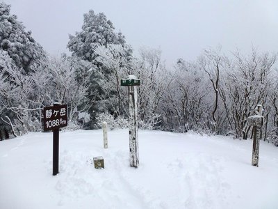 静ヶ岳山頂では三角点を掘り返しました