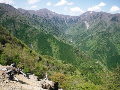 IMGP0599.JPG (109.05 KiB) 閲覧された回数 8053 回 高塚・竜馬・岩岳・・・京丸沢源頭の山々