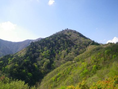 IMGP0603.JPG (58.89 KiB) 閲覧された回数 8053 回 京丸山の前衛