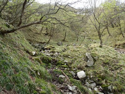 奥ノ畑峠への登り口