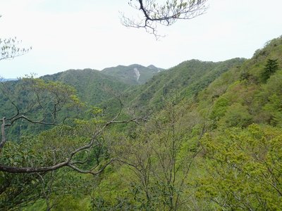 国見山は写ってないけど、中央ウグイです。