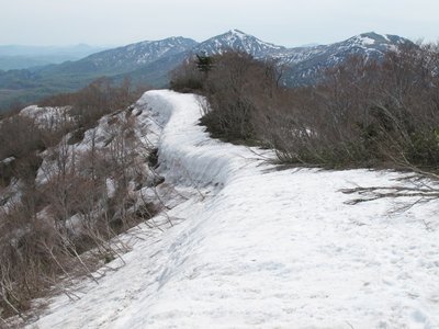 ファルコンの背に乗って歩こう