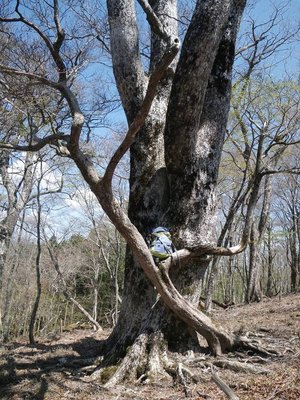 私のザックが赤ちゃんのように小さく見えますね