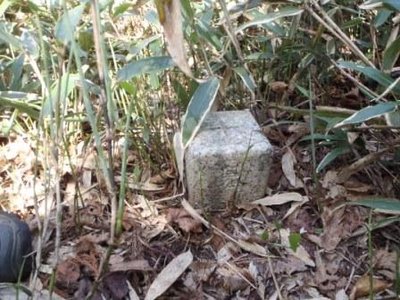 やっと見つけた三角点