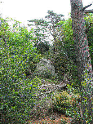 jan.jpg (149.39 KiB) 閲覧された回数 6386 回 スカイツリー山のジャンダルム