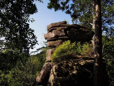 お金明神.jpg (290.87 KiB) 閲覧された回数 7757 回 お金明神ーーいつ見ても不思議