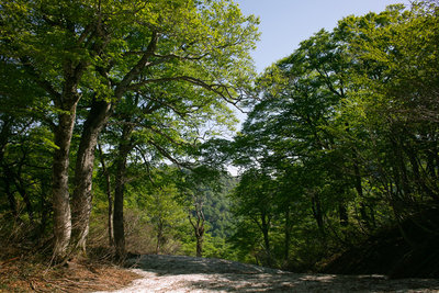 02.jpg (340.49 KiB) 閲覧された回数 6915 回 1060m広場