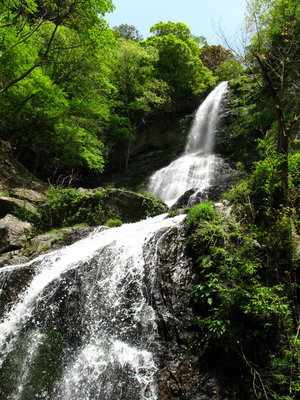 IMG_5372.jpg (834.89 KiB) 閲覧された回数 5819 回 ちちんぷいぷいの滝