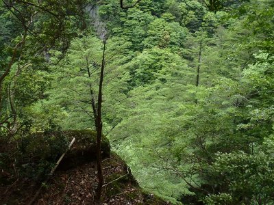正面は宮の谷左岸です。