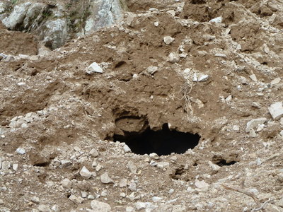 こんな穴も・・・