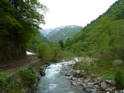 東又谷本流の様子