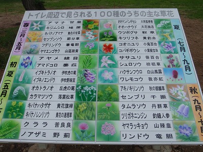伊吹山の花の案内板