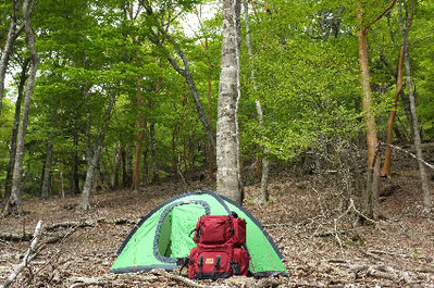 久しぶりにボォ～としていたテン場