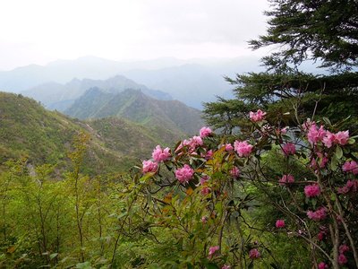 1123ピークから北西を望む。