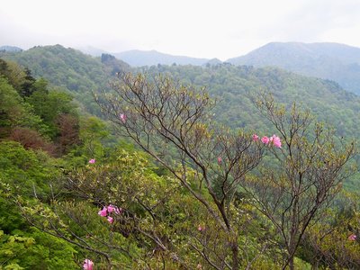 御座嵓から大台ヶ原