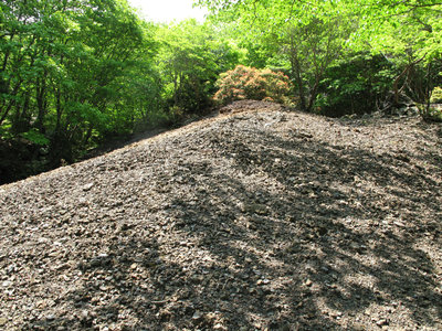 カラミのボタ山