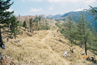 201233 (5).jpg (296.28 KiB) 閲覧された回数 4335 回 気持ちのよい稜線の笹原