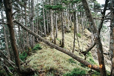 201234 (16).jpg (295.57 KiB) 閲覧された回数 4328 回 三又山近くの狭い稜線