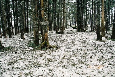 201235 (22).jpg (296.22 KiB) 閲覧された回数 4333 回 中ノ尾根山 山頂の雪原