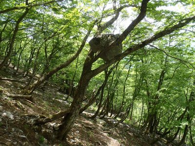 20120526-31.jpg (193.52 KiB) 閲覧された回数 11176 回 ナイスキャッチ