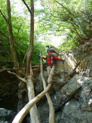 これも一般登山道？