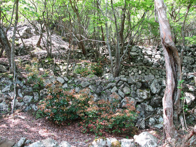 IMG_5427.jpg (575.91 KiB) 閲覧された回数 9078 回 高昌鉱山の住居跡