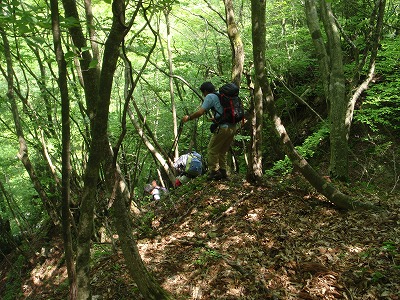 七人山からのラスト斜面下り