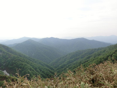 CIMG0459.JPG (508.14 KiB) 閲覧された回数 8785 回 ロボピークから不動山