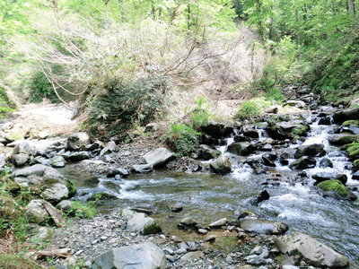 CIMG0470.JPG (689.84 KiB) 閲覧された回数 8785 回 二股出合い 左の沢から右の沢へ