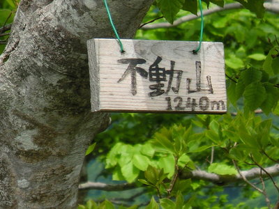 CIMG0484.JPG (368.56 KiB) 閲覧された回数 8798 回 裏に2011年4月11日 各務原 〇〇 とあった