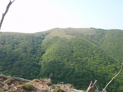 崩壊地からの清水の頭