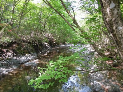 DSCN4593.jpg (527.58 KiB) 閲覧された回数 4509 回 鈴鹿の上高地(梓川?)