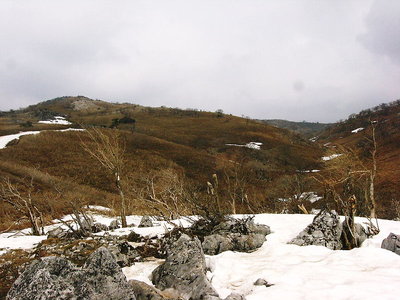 山頂平.JPG (156.85 KiB) 閲覧された回数 4519 回 〇 霊仙山 山頂平