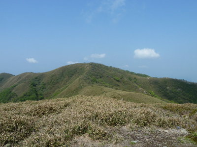 この中にいた？