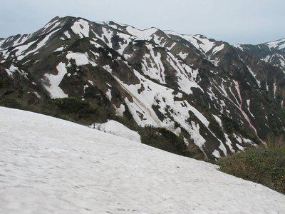 昨年6月12日の画像、赤ラインが思い描いて今回登ったルート