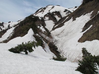 尾根乗越から見た箱谷左俣