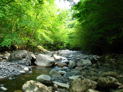 IMG_5434.jpg (489.99 KiB) 閲覧された回数 7711 回 いろんなものを見てきた神崎川