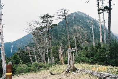 　三又山山頂から