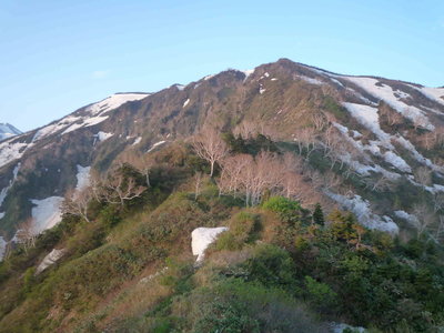 04美女坂(1).JPG (588.2 KiB) 閲覧された回数 5124 回 美女坂