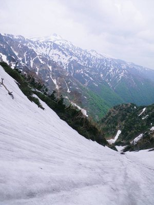 IMGP0816_sh01r.JPG (96.46 KiB) 閲覧された回数 9878 回 登路に取った雪渓